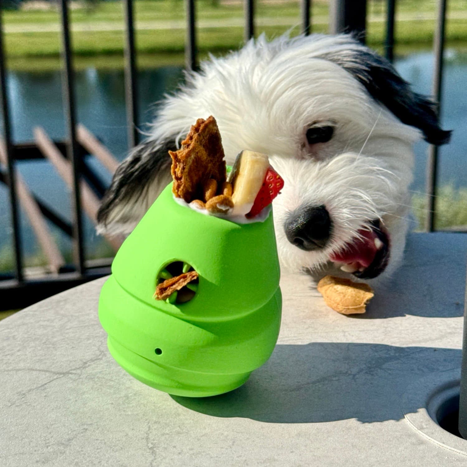 Dog Enrichment Toppler Recipe Idea