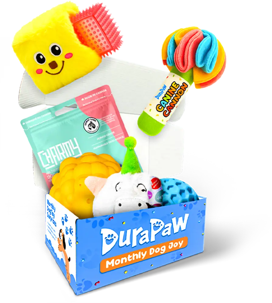 Assorted durable fun colorful dog toys with a DuraPaw box on a white background