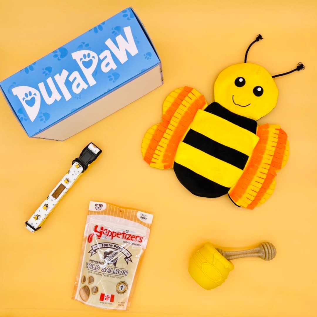 DuraPaw Box of Dog Toys Canada