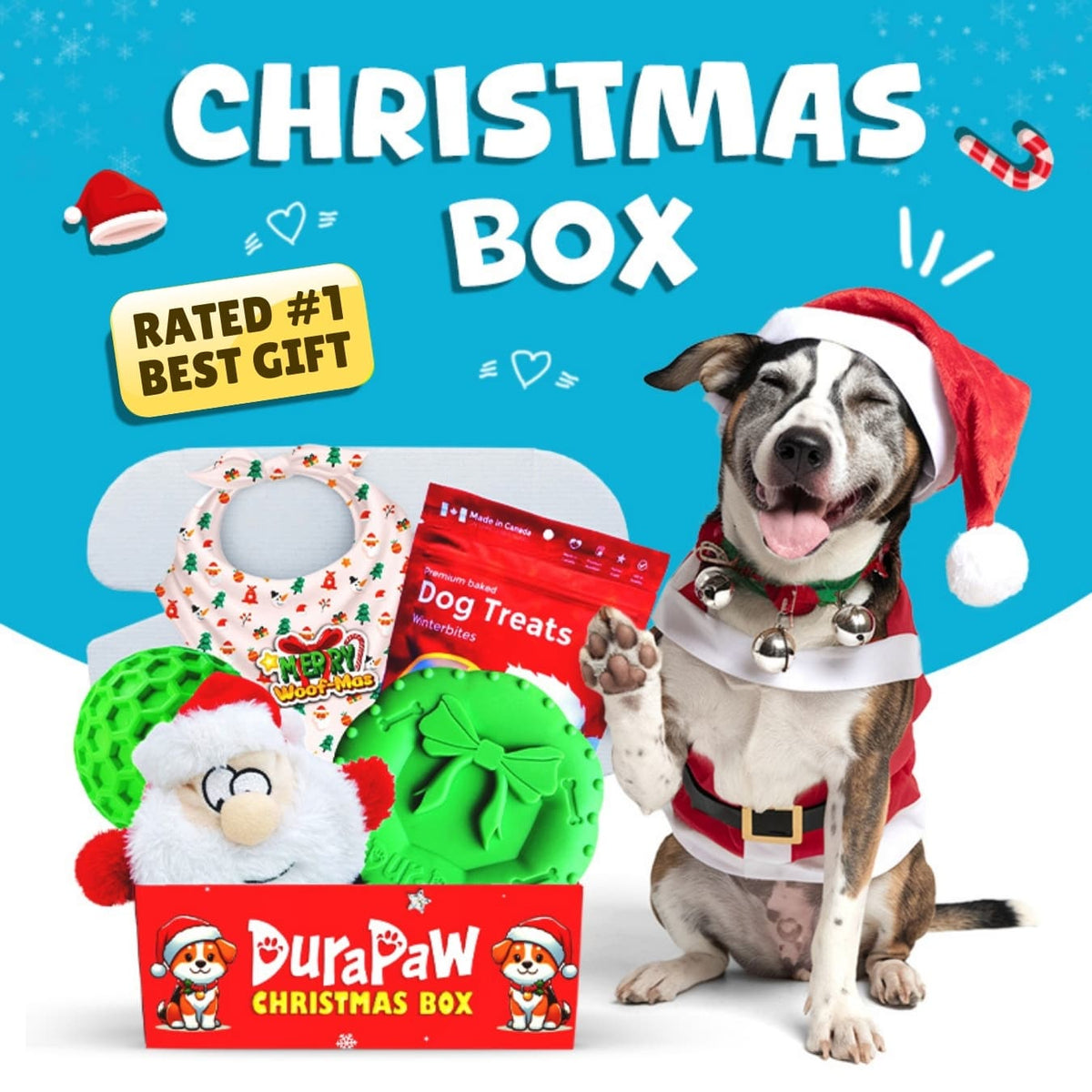 Dog wearing a Santa hat with a Christmas-themed DuraPaw gift box and dog treats on a blue background