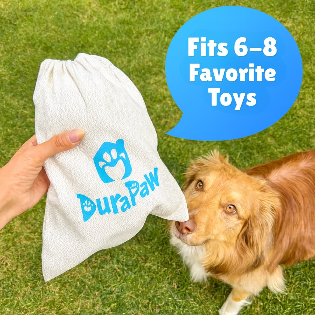 Dog looking at a DuraPaw toy rotation storage drawstring bag held by a hand on grass