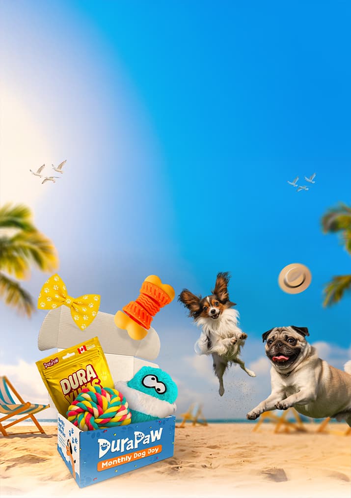 DuraPaw Monthly Dog Toy Subscription Box with dog toys and treats on a beach background