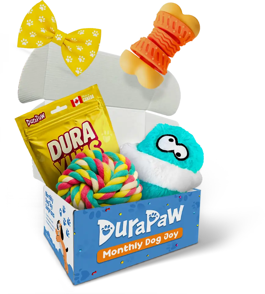 DuraPaw monthly dog toy box with various dog toys and snacks on a white background