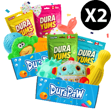 Double First Box – 2X Toys & Treats
