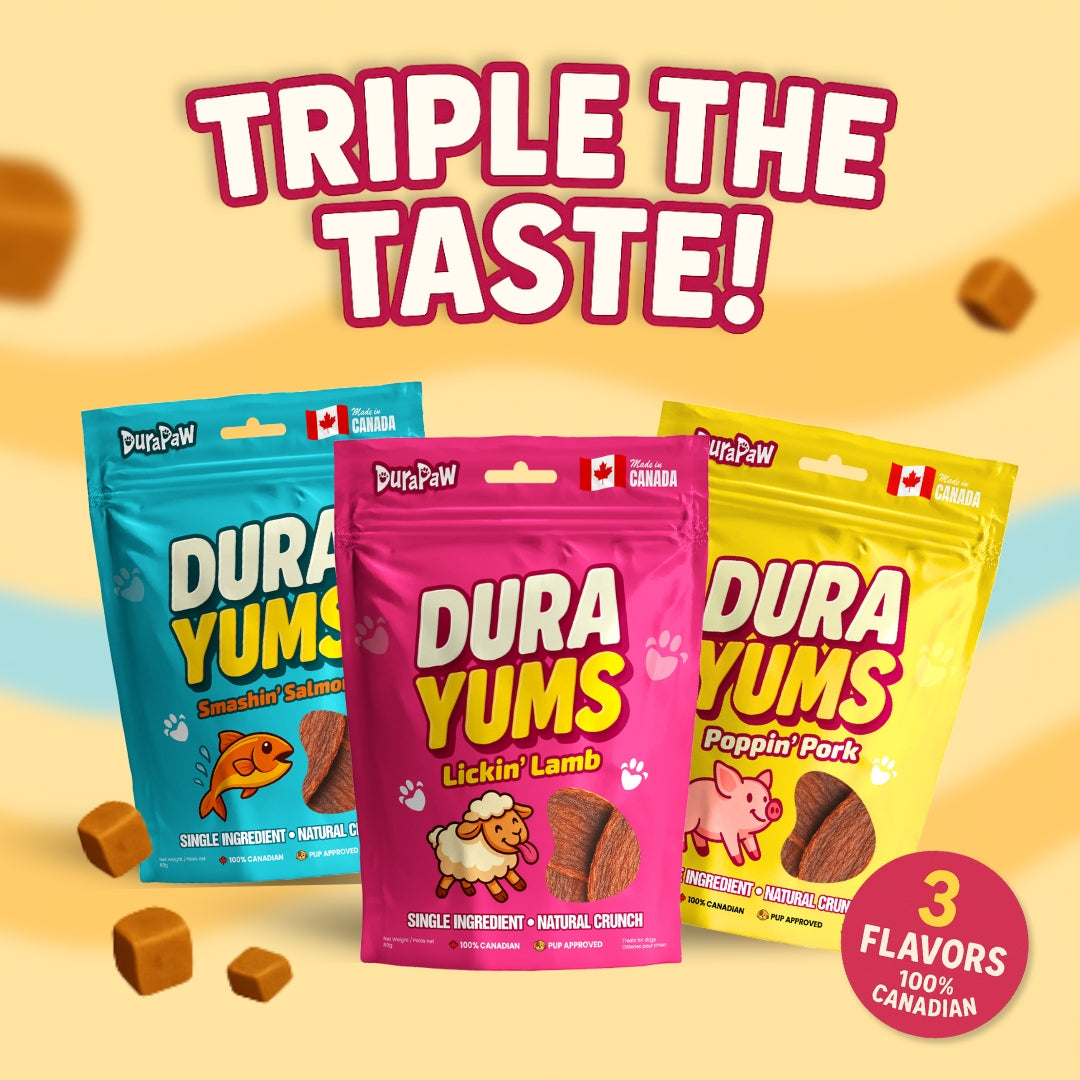 Three packages of DuraPaw DuraYums single ingredient dog treats with colorful packaging on a beige background.