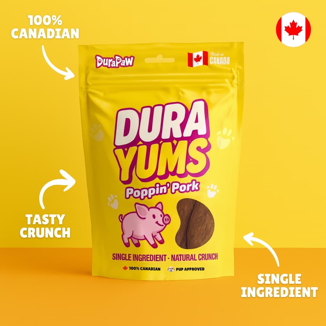DuraYums Poppin Pork dehydrated dog treats package with DuraPaw branding on a yellow background