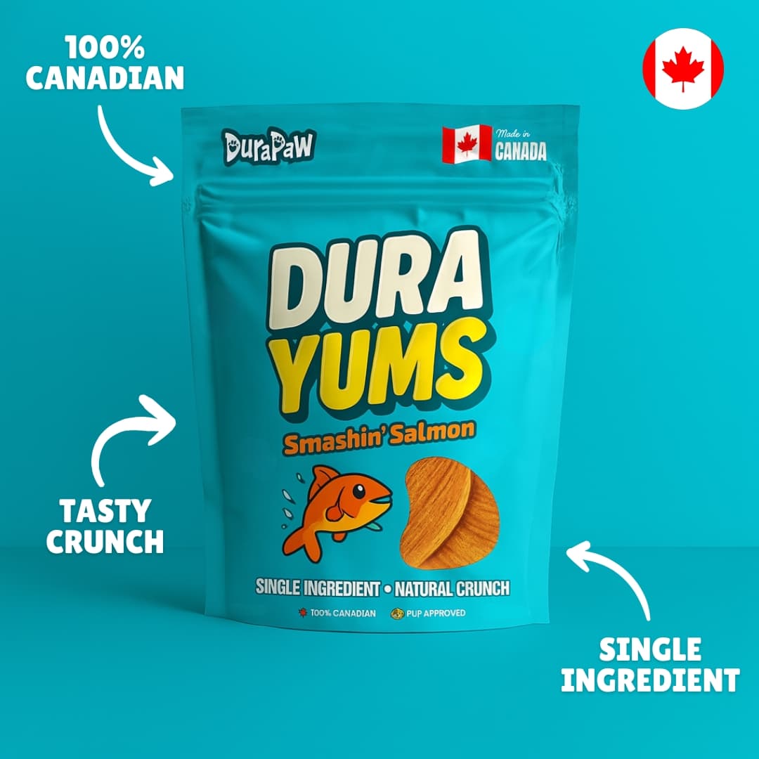DuraYums Smashin Salmon dehydrated dog treats package with DuraPaw branding on a blue background