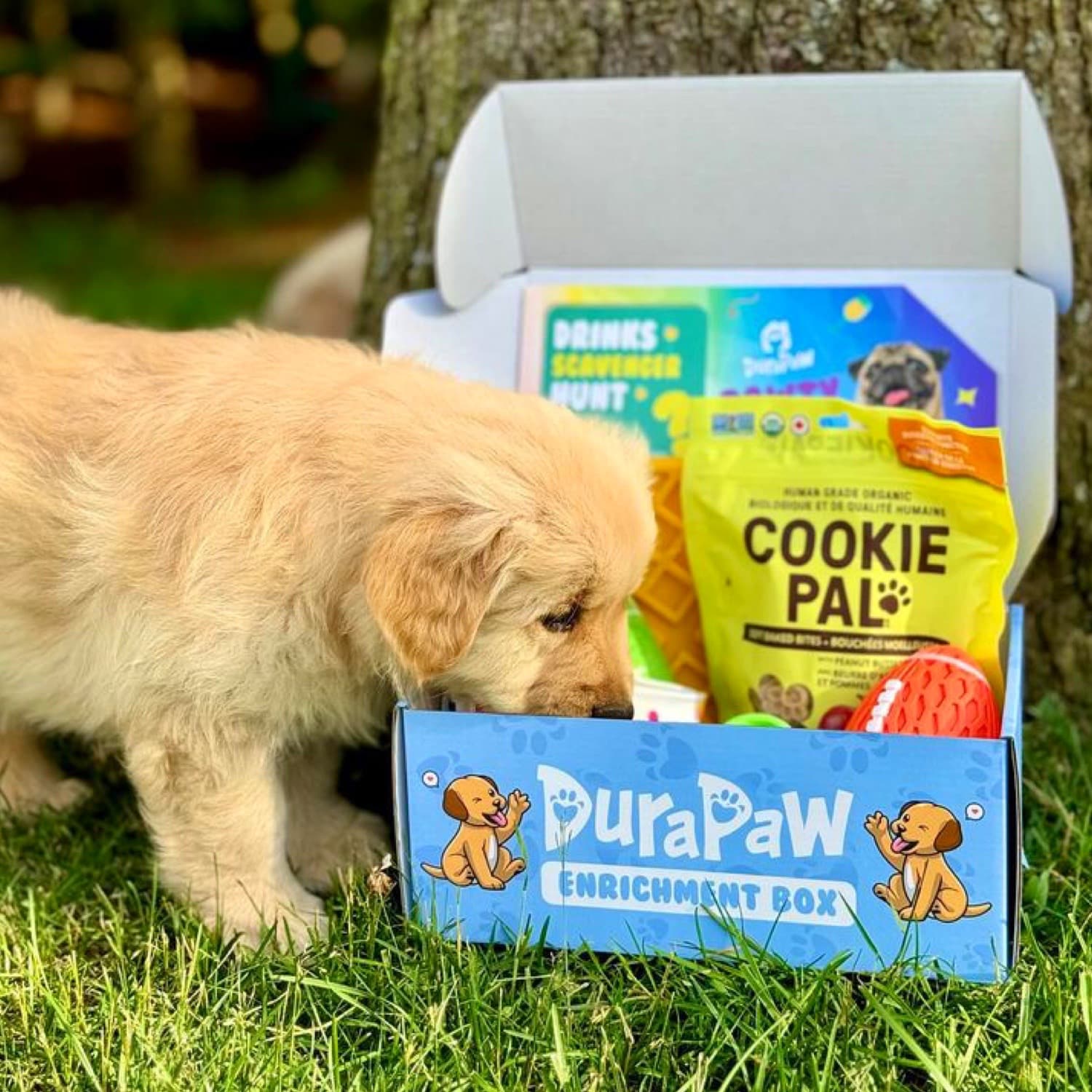 DuraPaw Puppy Enrichment Toy Monthly Box