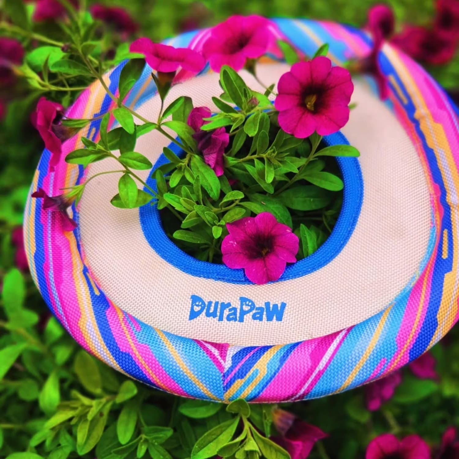 Colorful DuraPaw fetch dog toy product with plants and flowers on a green background