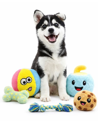 Puppy with colorful DuraPaw dog toys on a white background