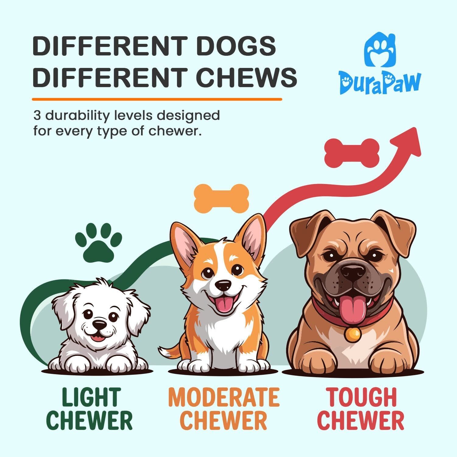 DuraPaw advertisement showing three dogs with different chew levels and corresponding durability levels.