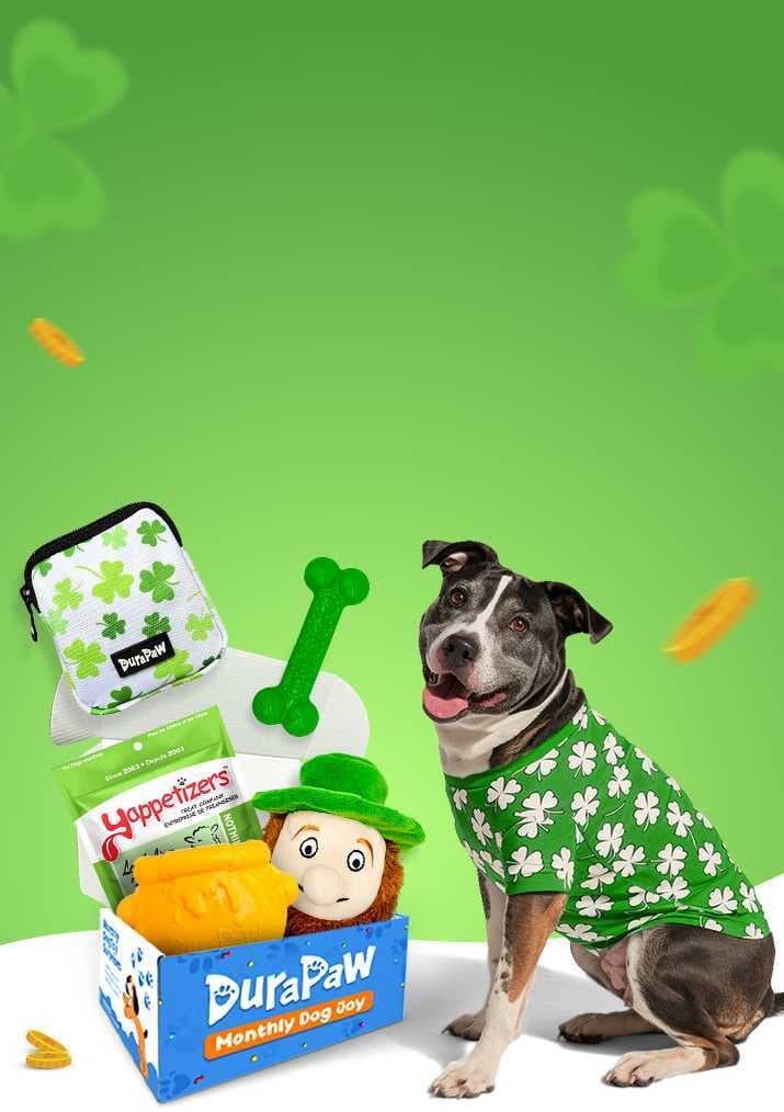 DuraPaw St Patrick's Day Monthly Theme Dog Toy Subscription Box