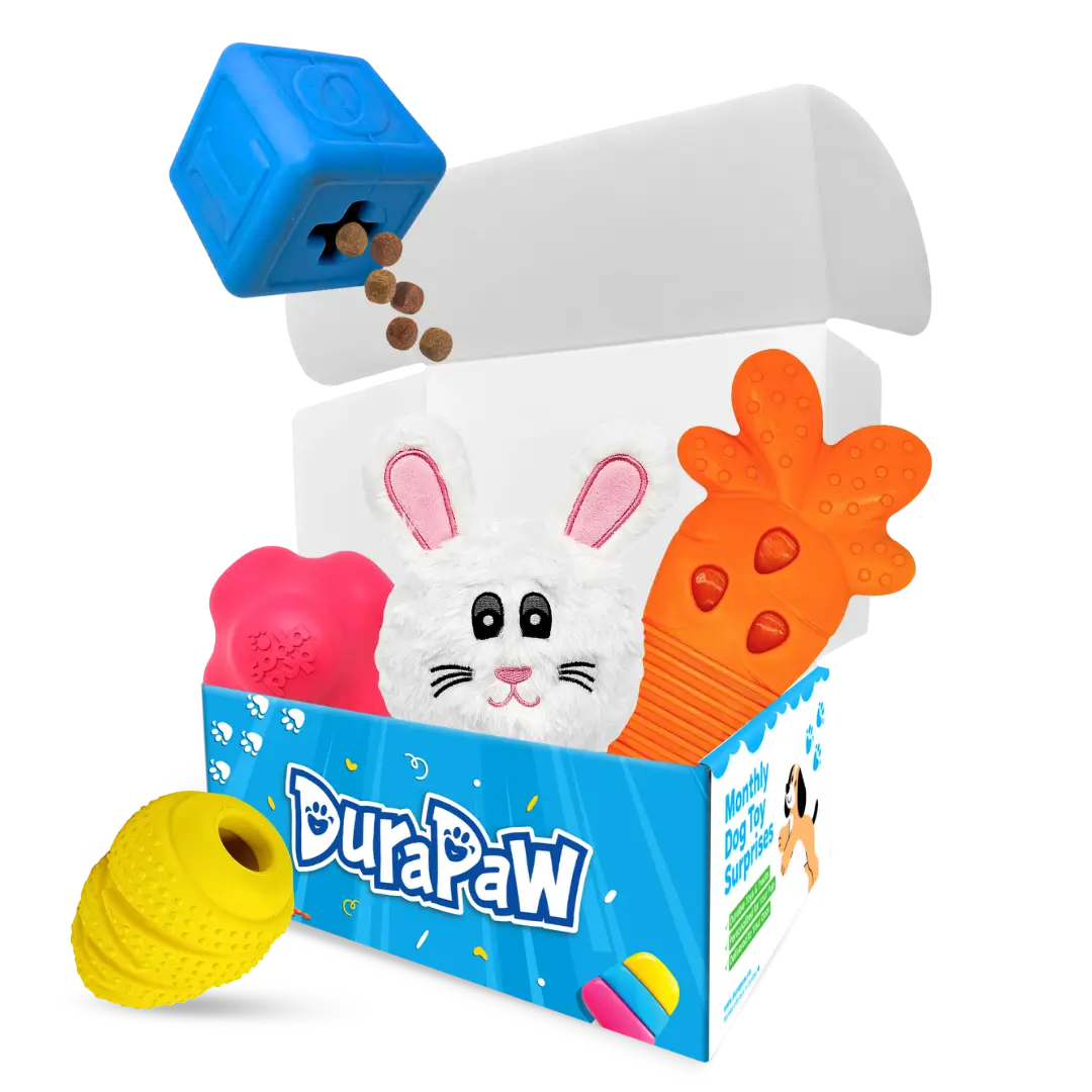 DuraPaw pet toy set box with colorful components on a white background