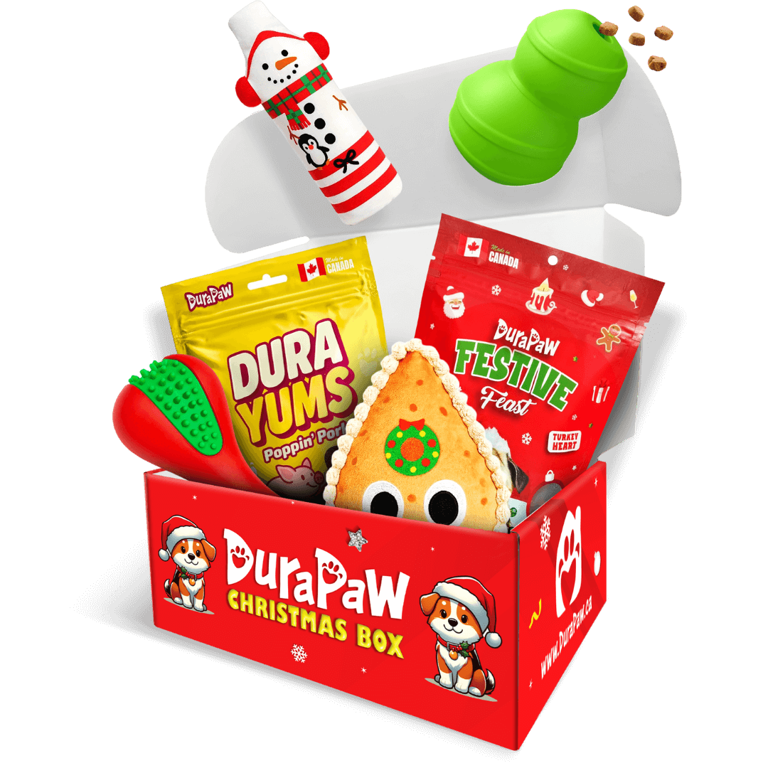 DuraPaw Christmas subscription box with dog toys and treats on a white png background