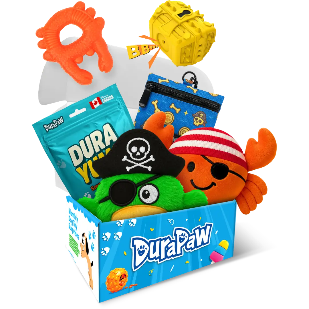 DuraPaw subscription box dog toy set with colorful toys and packaging on a png transparent background