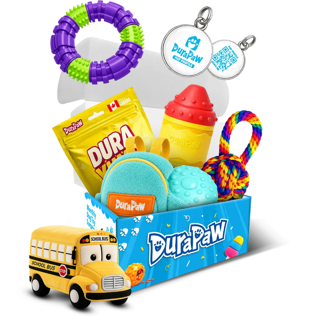 DuraPaw Paws and Pencils school-themed monthly dog subscription box packed with enrichment toys and healthy Canadian-made treats, perfect for smart pups heading into fall.