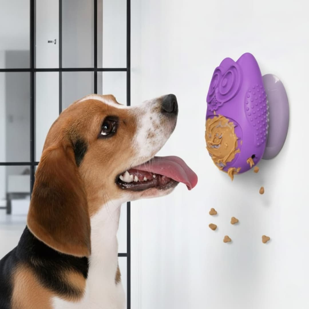DuraPaw purple owl slow licking feeder suctioned to wall with dog enjoying