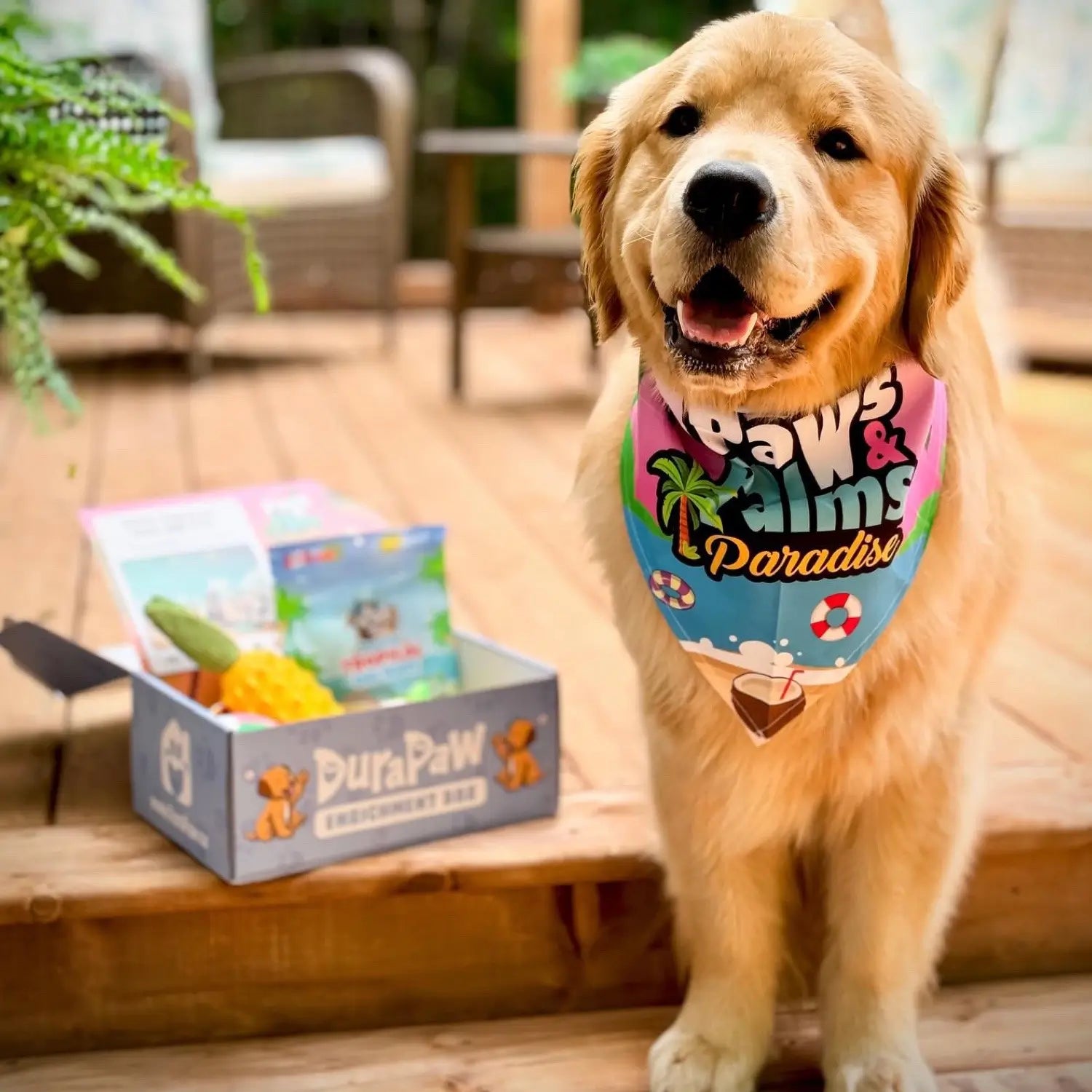 1 Month Plan - Ultimate Dog Enrichment Box