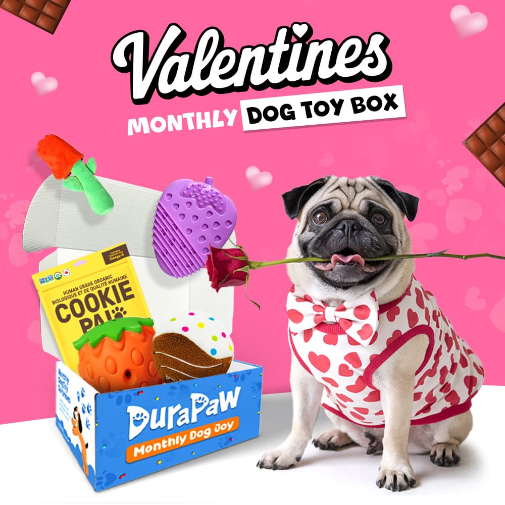 DuraPaw Valentines Themed Pet Dog Toy Subscription Box Canada