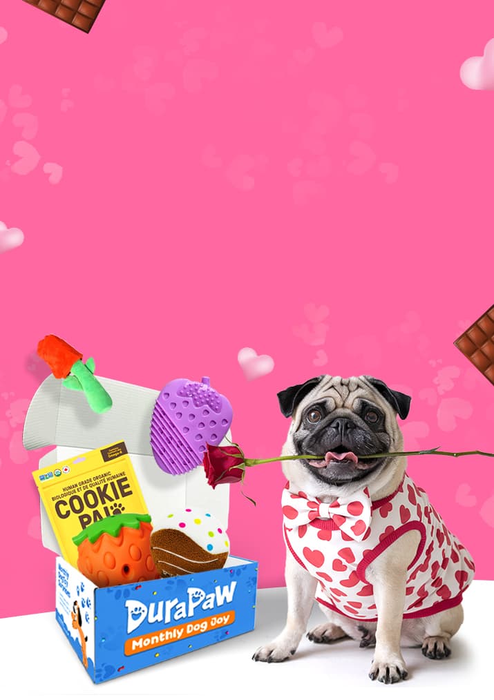 DuraPaw Valentines Themed Pet Dog Toy Subscription Box Canada