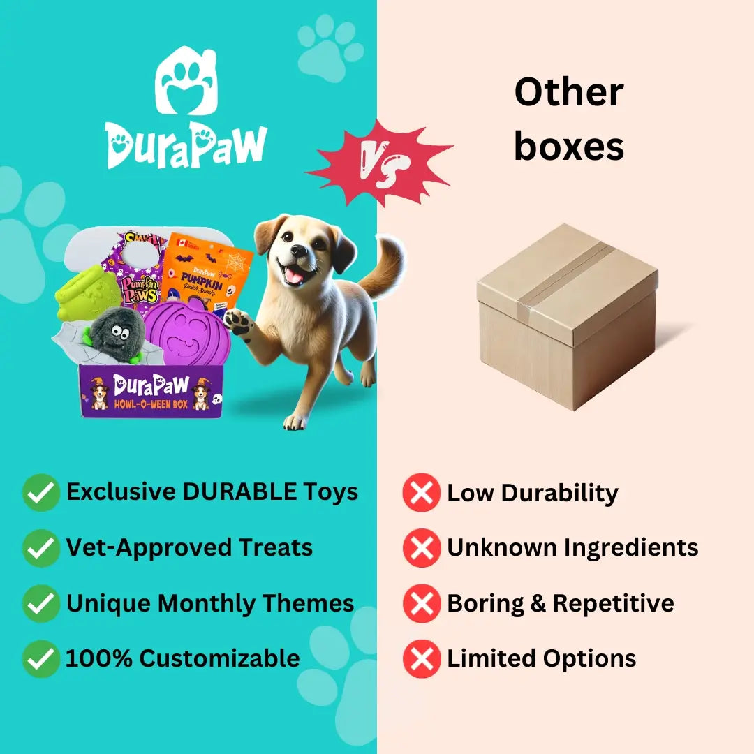 1 Month Plan - Ultimate Dog Enrichment Box