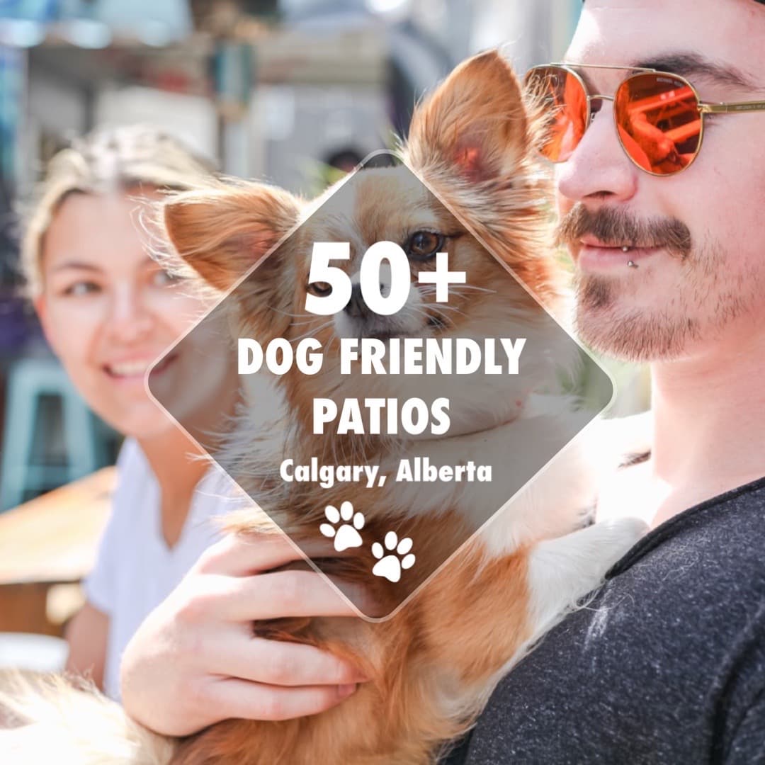 50 Pet Dog Friendly Patio Restaurants in Calgary Alberta