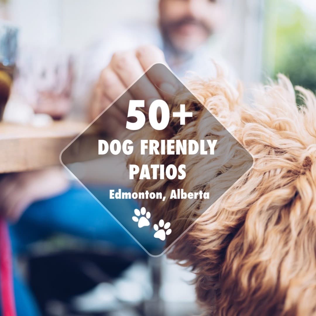 50 Edmonton Pet Dog Friendly Patios and Restaurants