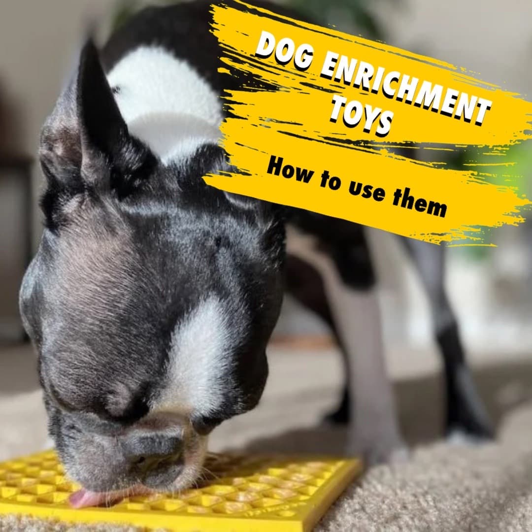 Dog Enrichment Toys Canada
