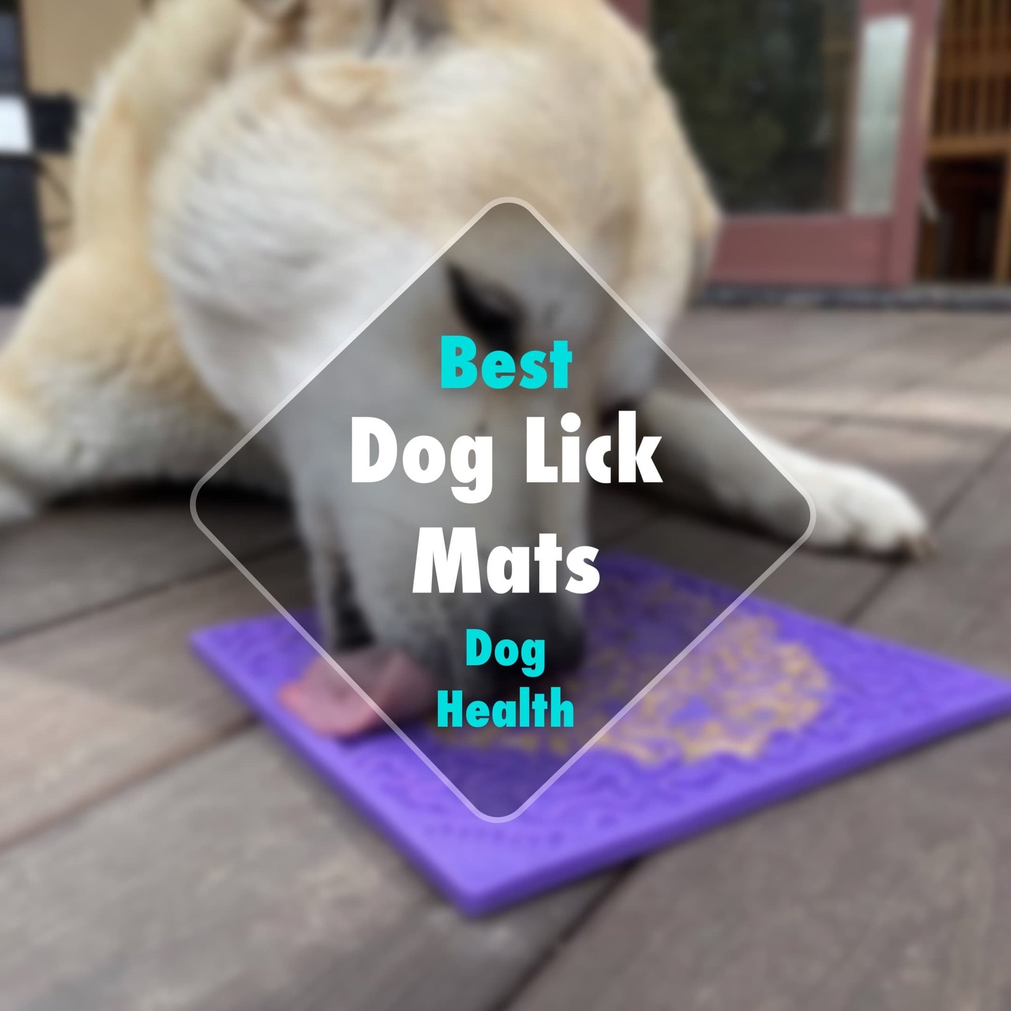 Dog Lick Mat Recipe Ideas Canada