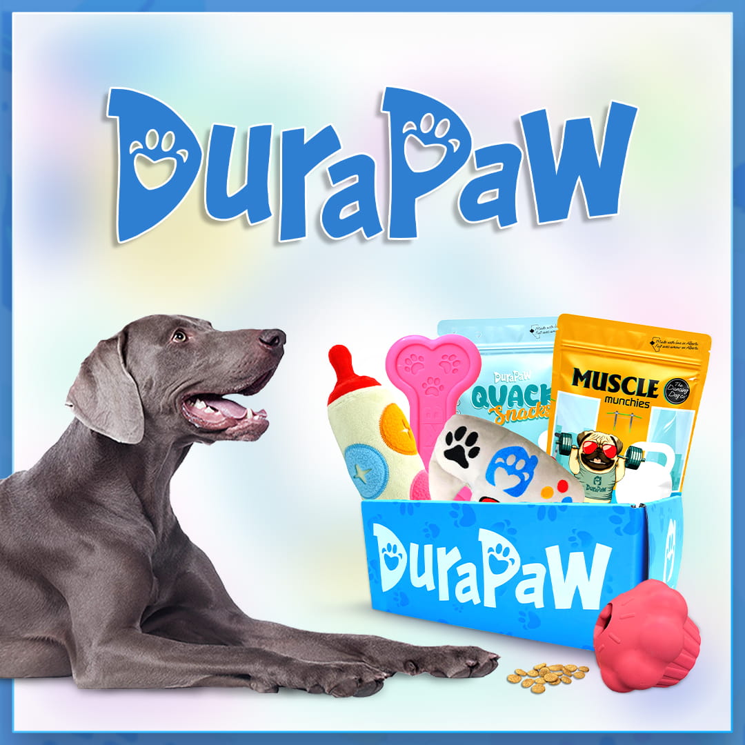 DuraPaw Dog Subscription Box Canada