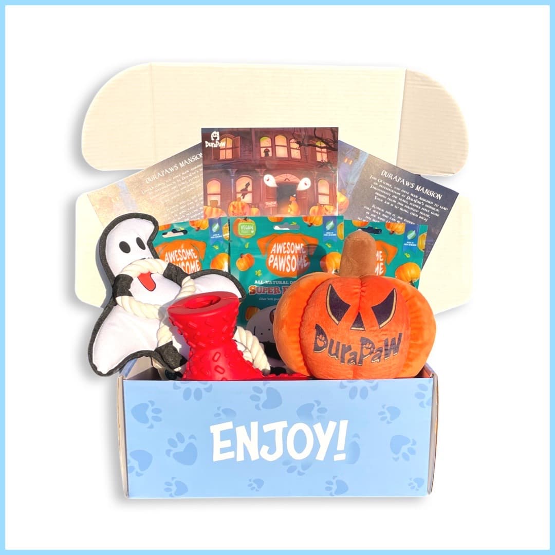 DuraPaw Halloween Gift Ideas Dog Toy Subscription Box Canada