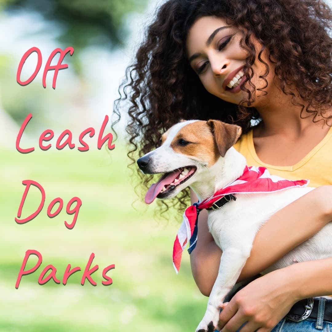 Edmonton Off Leash Pop Up Dog Parks