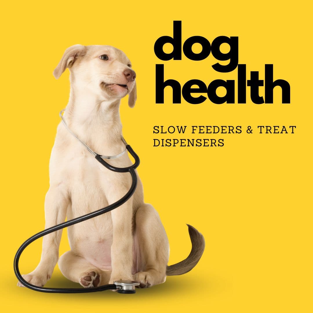 Dog Healthy Digestion Slow Feeder Toys