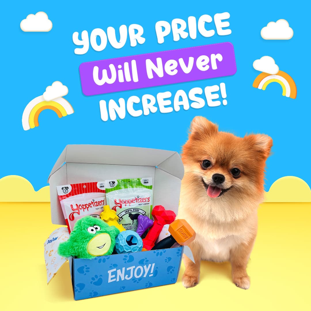 DuraPaw Dog Subscription Box Price Will Never Increase