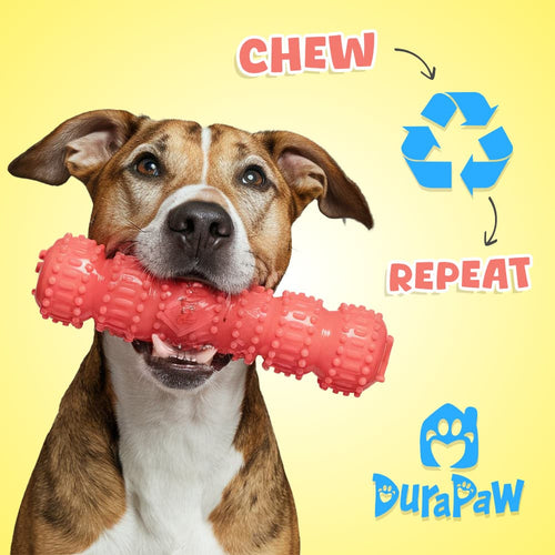 DuraPaw Importance Rotating Pet Dog Toys