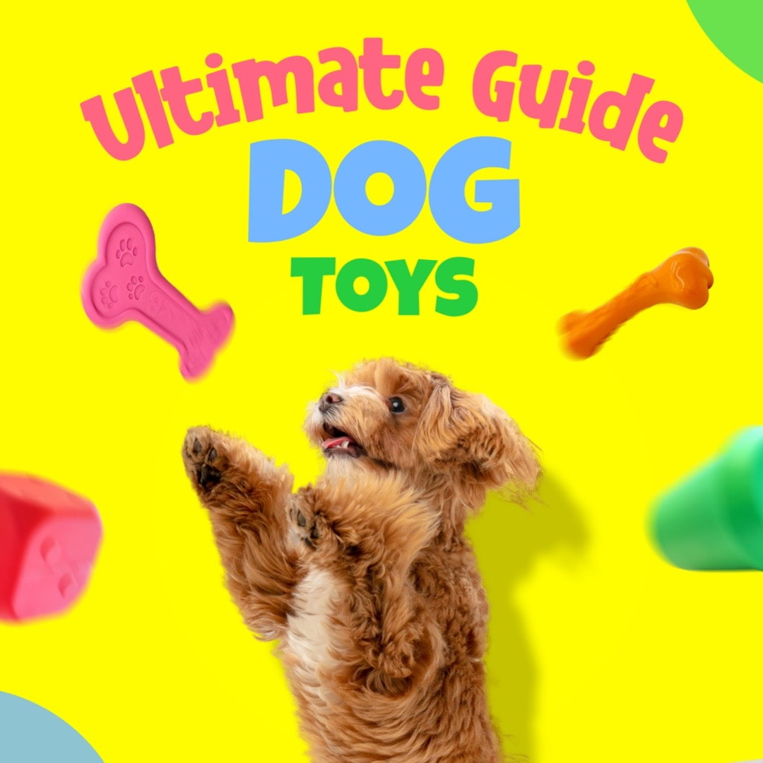 Ultimate Guide to Durable Dog Toys