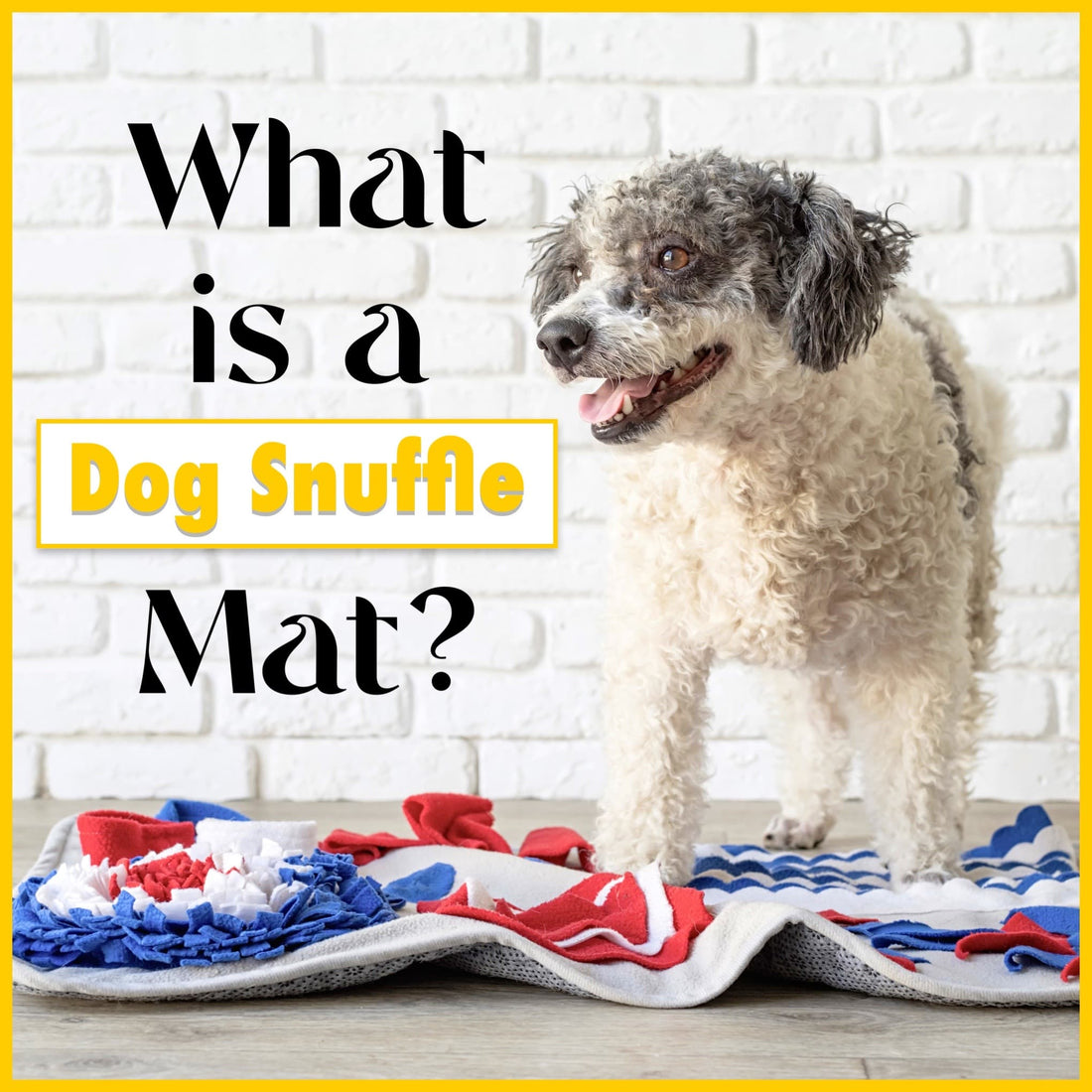 Dog Snuffle Mat Sniffing Training Canada