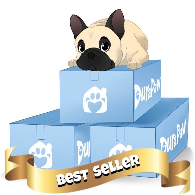 Dog Subscription Box Canada
