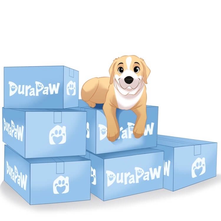 Dog Subscription Box Canada
