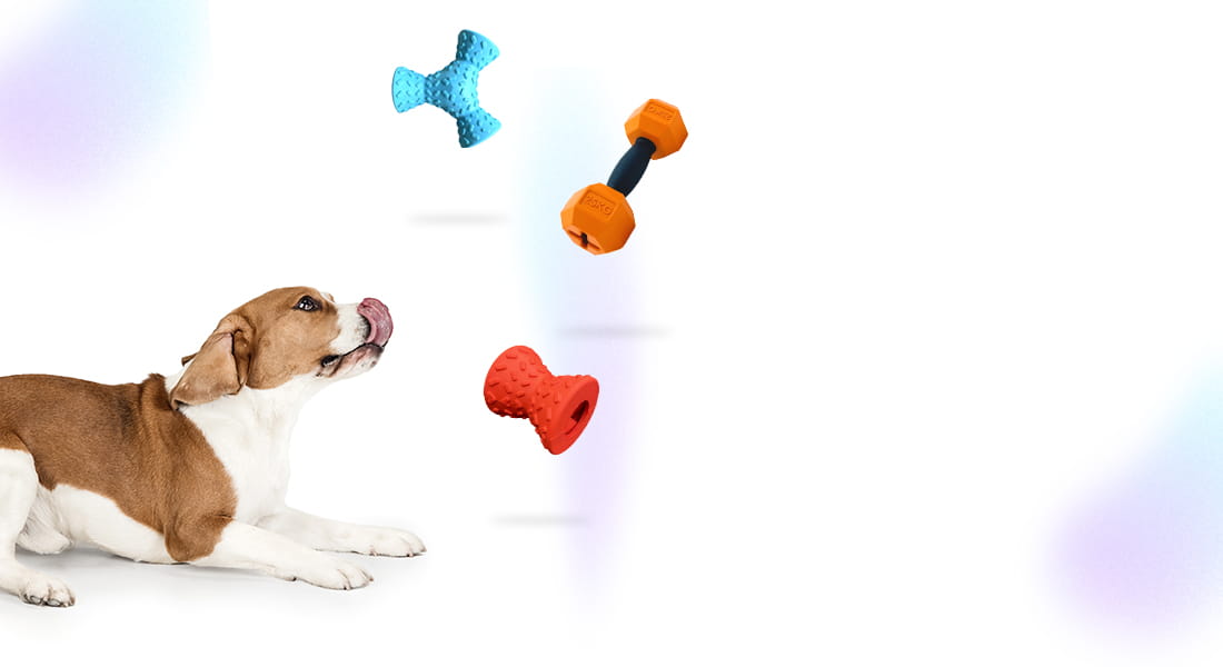 The Best Dog Toys to Keep Dogs Busy