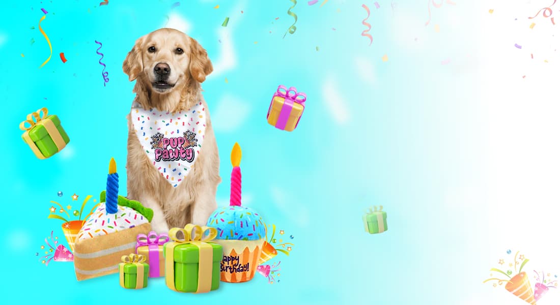 Dog birthday toys deals