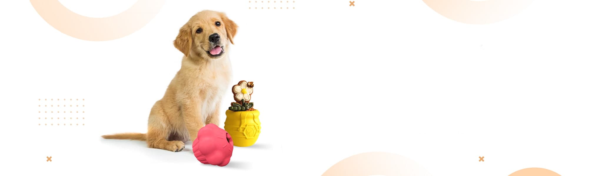 DuraPaw Dog Toy Treat Dispensers