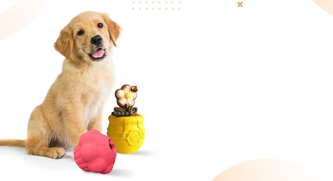 Treat Dispensing Dog Toy – Perfect Paw Store