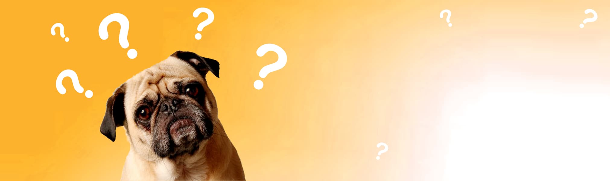 DuraPaw Doggie Box FAQs