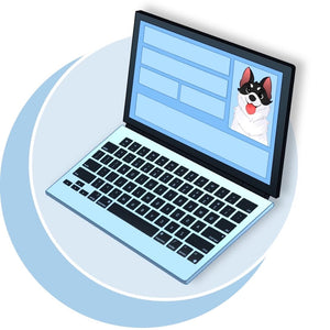 Create Your Dog Profile Dog Subscription Box