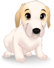 Small dog breeds such a puppy or poodle. Dog toy for chewers. Dog subscription box Canada.