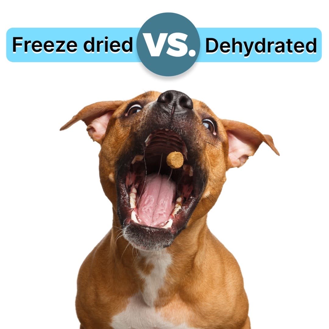 Freeze Dried vs Dehydrated Dog Treats Canada
