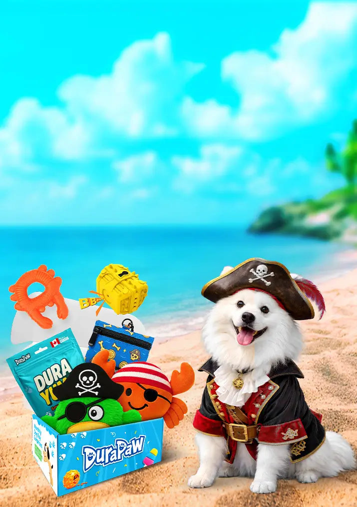 Pawrates of Chew Cove Island Theme