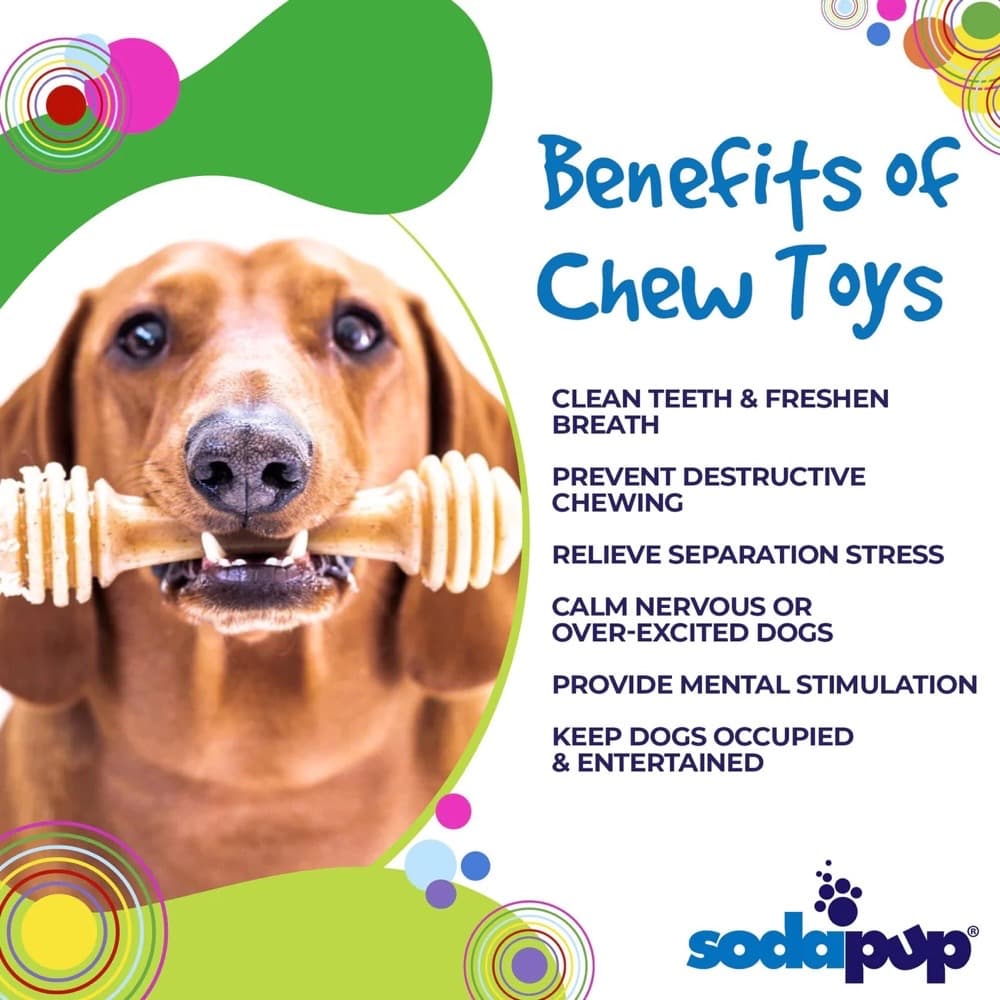 Sodapup Honey Bone Nylon Dog Chew Toy