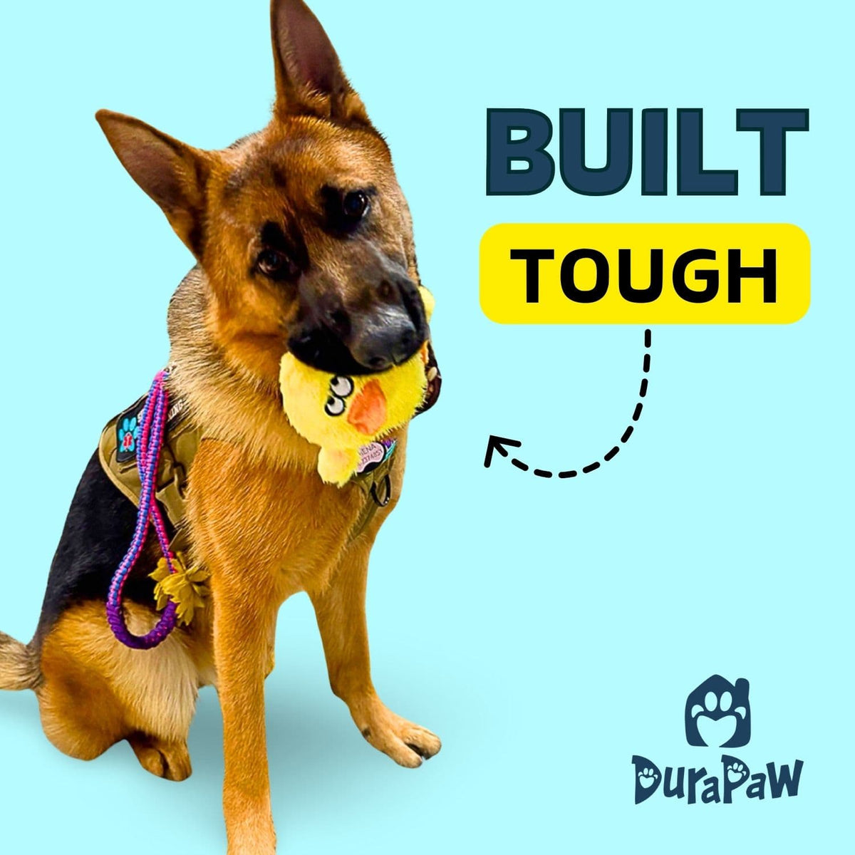 Tough Interactive 2 in 1 Dog Toy for Aggressive Chewers DuraPaw